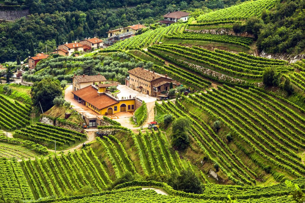 Viaggi Sostenibili a Verona: Guida al Turismo Rigenerativo e il Caso Villa Cordevigo