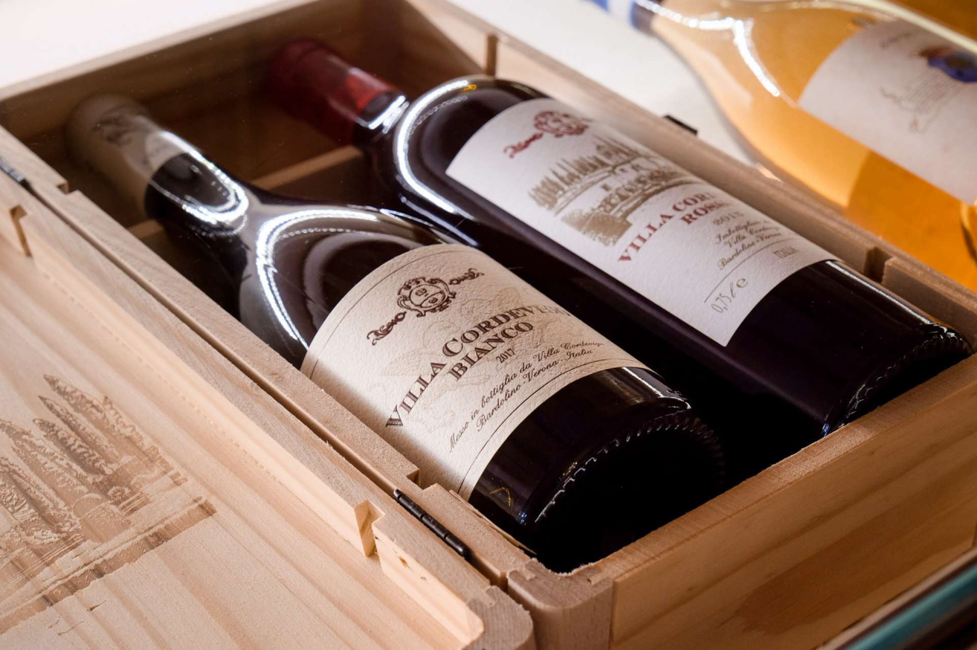 Degustazione vini a Verona: alla scoperta dei vigneti biologici di Villa Cordevigo